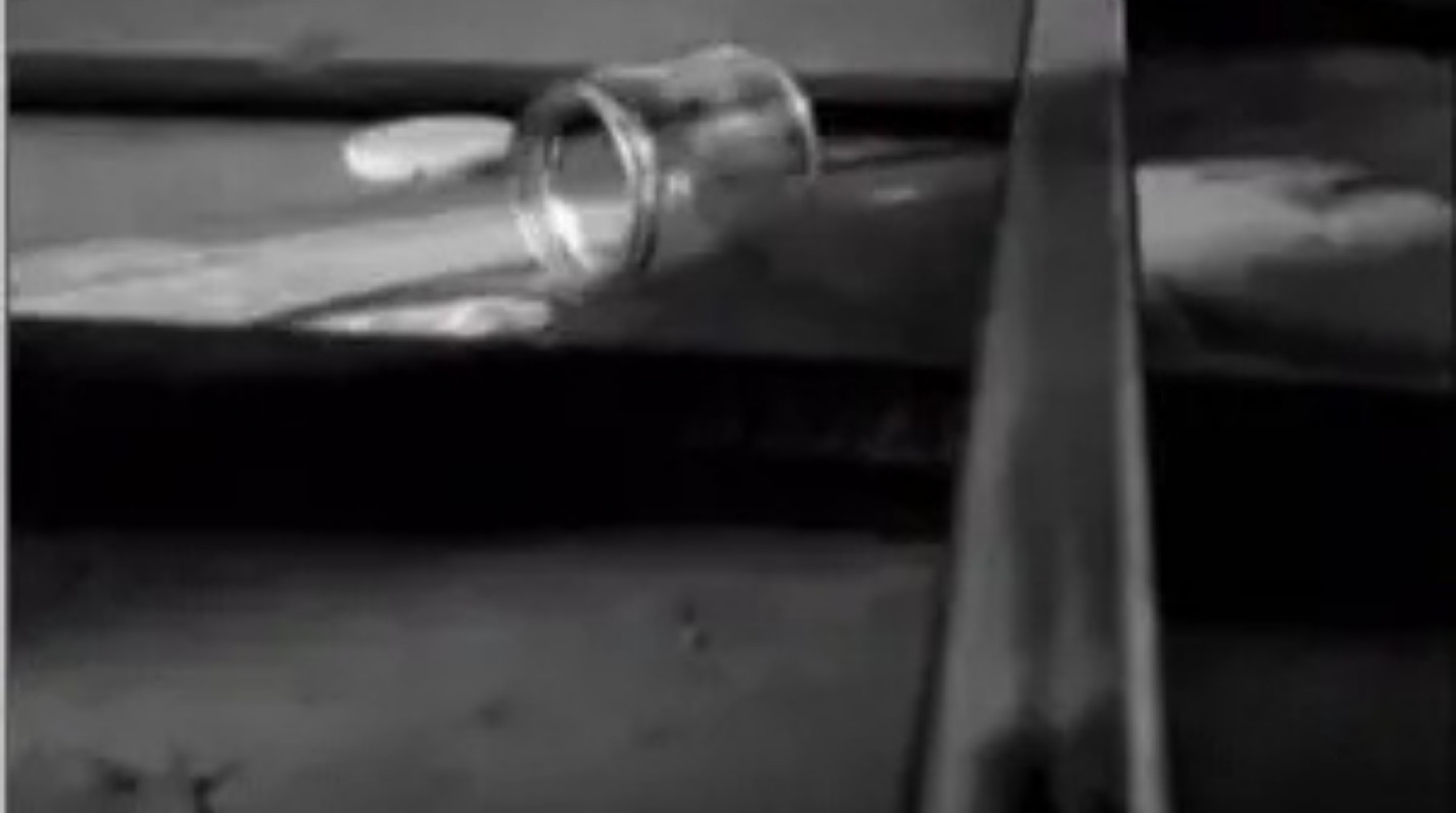 ¿Vives o Sobrevives? reflexión sobre el sentido de la vida